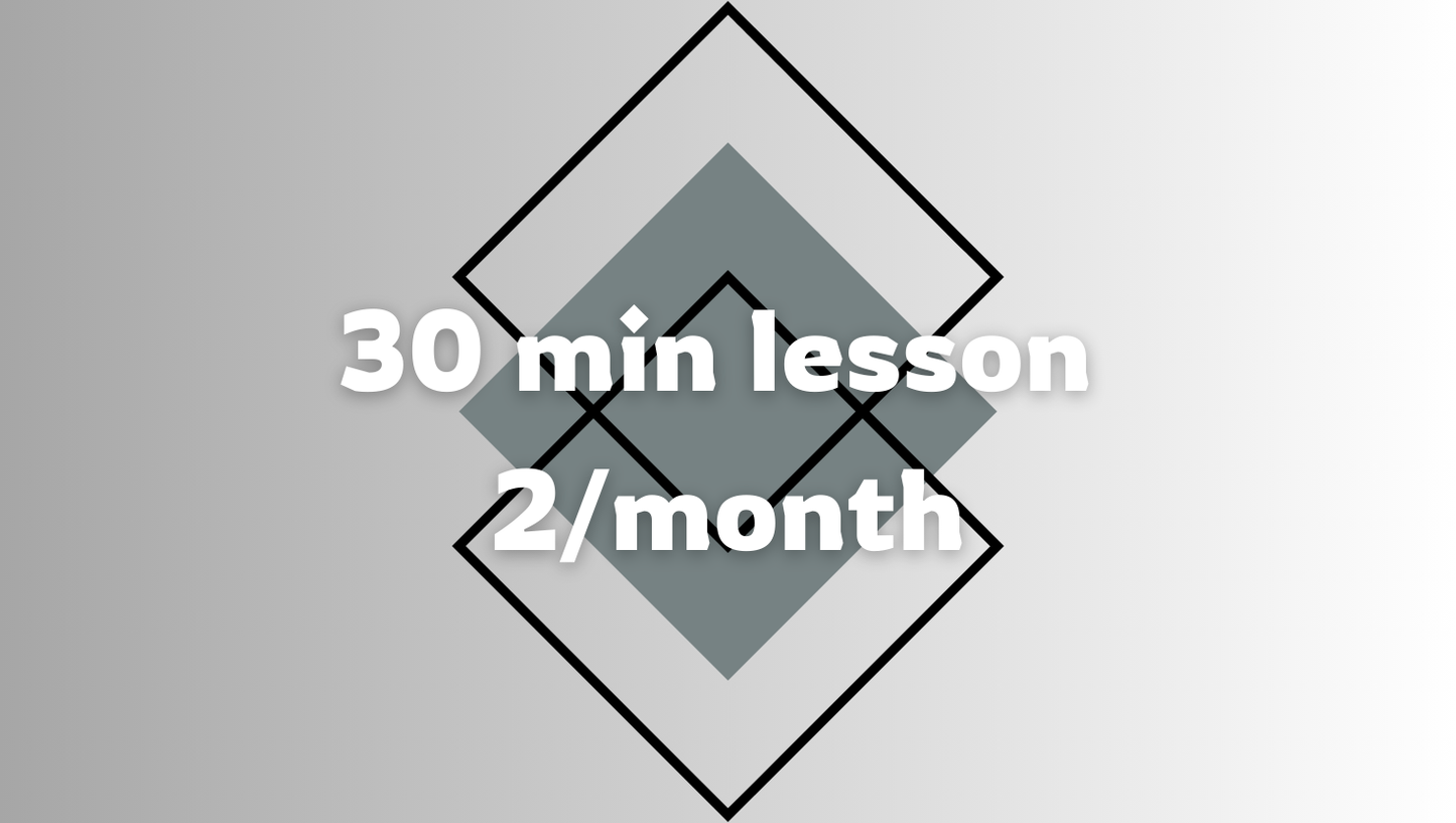 30 min Private Lecture /2x a month 月2回30分レッスン